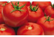 Гравитет F1 - томат полудетерминантный, 500 семян, Syngenta (Сингента), Голландия фото, цена